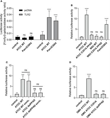 TLR2 Activation by Porphyromonas gingivalis Requires Both PPAD Activity and Fimbriae